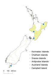 Veronica chamaedrys distribution map based on databased records at AK, CHR & WELT.
 Image: K.Boardman © Landcare Research 2022 CC-BY 4.0
